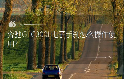YGLC300Lքxôʹ