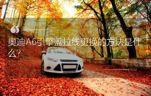 WA6wQķʲô