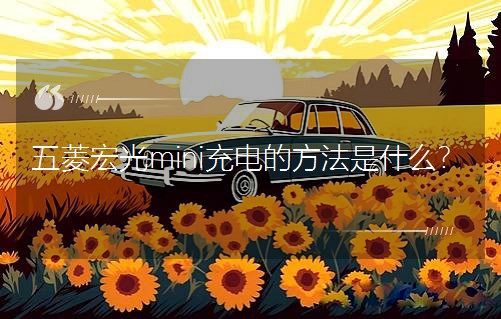 mini늵ķʲô