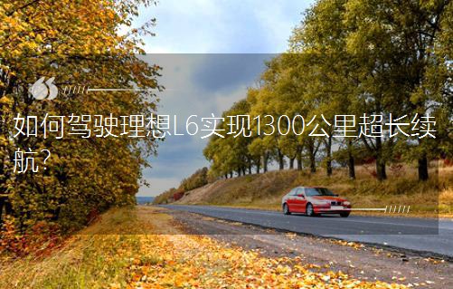 {L6F1300ﳬLm