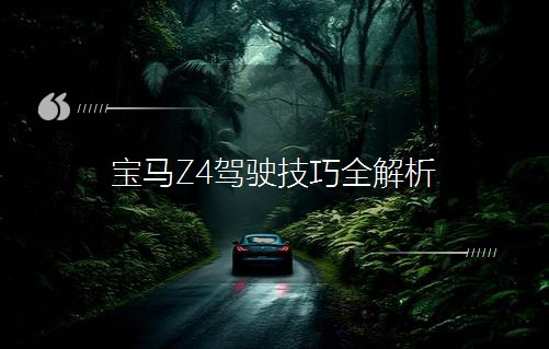 RZ4{񂼼ȫ