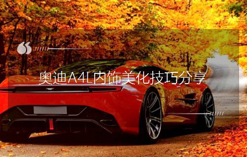 奧迪A4L內飾美化技巧分享