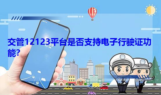 12123ƽ_Ƿ֧C