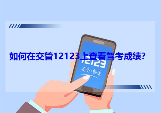 ڽ12123ϲ鿴{ɿ