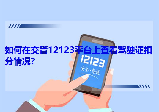 ڽ12123ƽ_ϲ鿴{C۷r